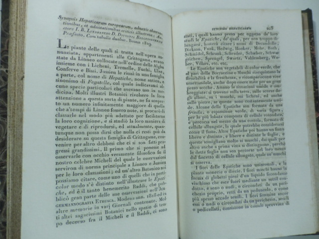 Synopsis hepaticarum europearum adnexis observationibus ...I. B. Linderberg...Bonnae 1829. (Stralcio da: Nuovo giornale de' letterati. N. 54. N. 55. N. 56. 1830 -1831)
